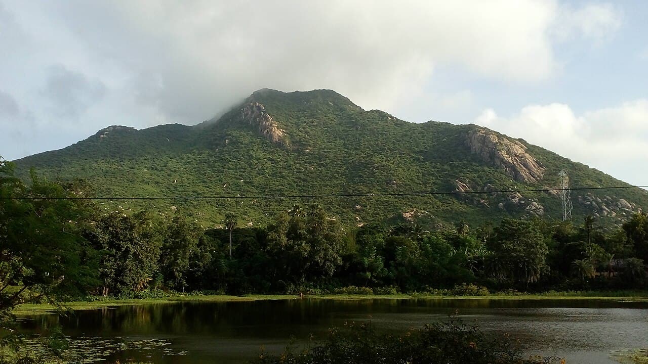 2 Days 1 Night Wildlife Safari from Anugul to Similipal