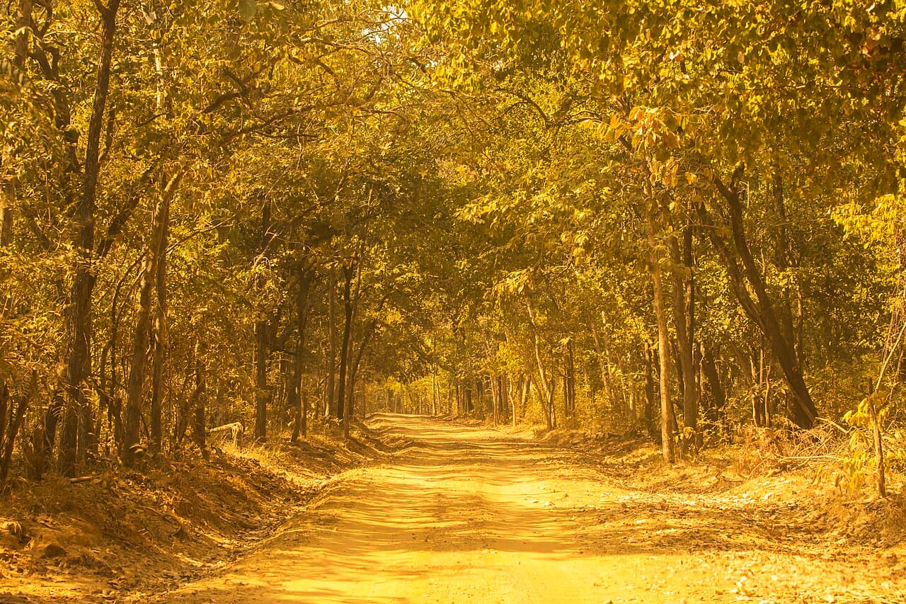2D1N Wildlife Safari Tour from Balangir | Debrigarh & Satkosia