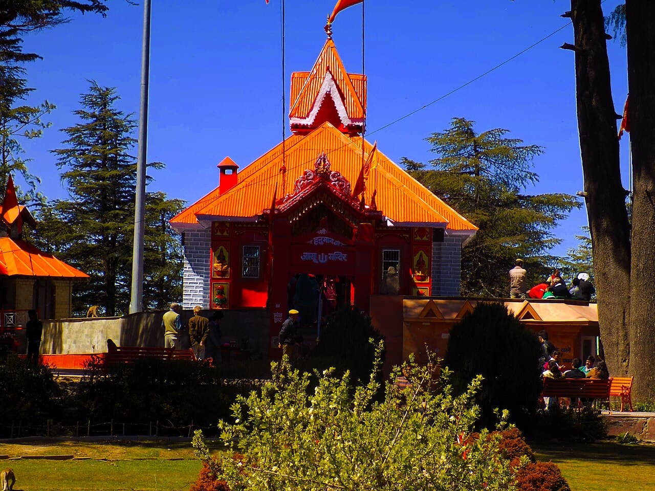 Adventure & Nature Shimla 2-Day Premium Local Tour