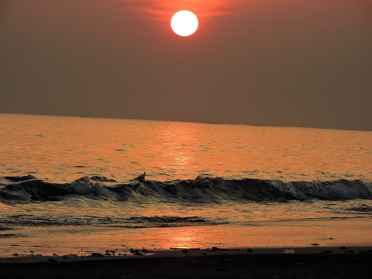 2 Days Premium Havelock Island Family Tour